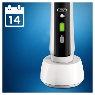 oral b 2400n