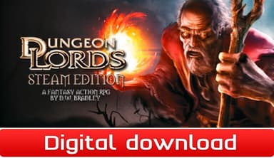 Dungeon Lords Steam Edition - PC Windows