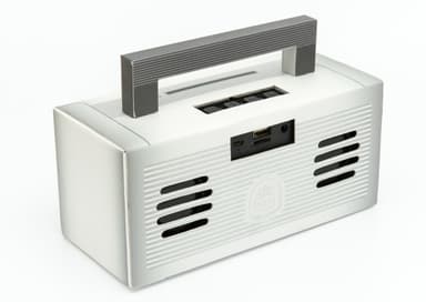 Bronx Bluetooth kaiutin, Hopea