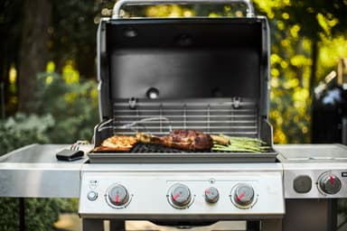 Weber Genesis II kaasugrilli WEB61012169