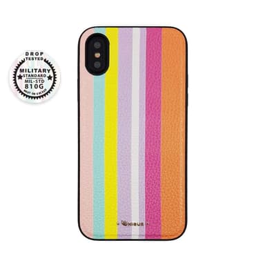 Sateenkaari iPhone Xs / X kuori