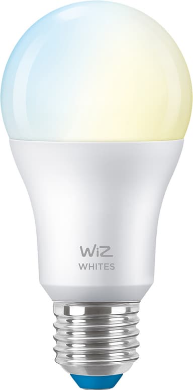 Wiz Light LED lamppu 8W E27 871869978703500