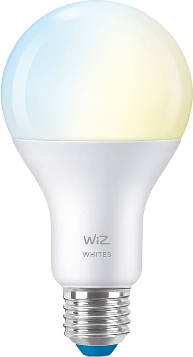 Wiz Light LED lamppu 13W E27 871869978617500