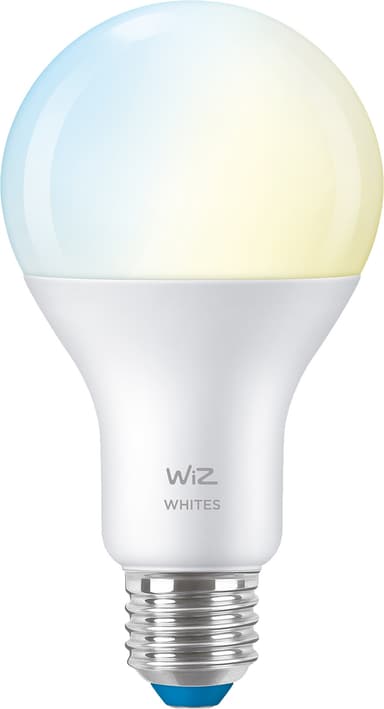 Wiz Light LED lamppu 13W E27 871869978617500