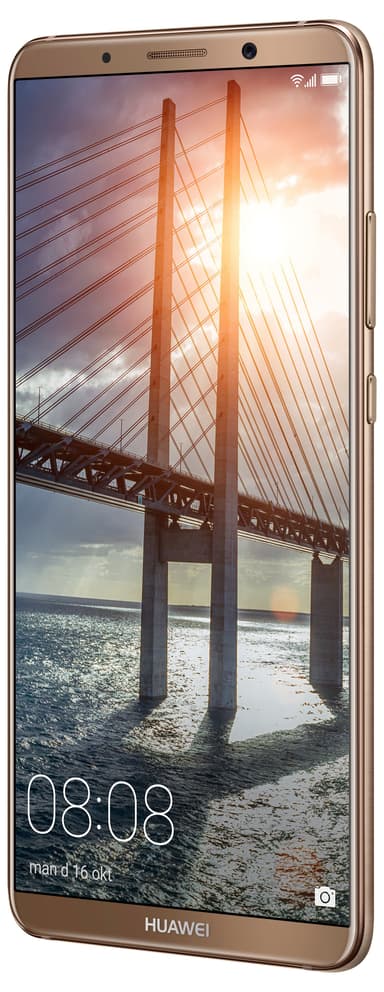 Huawei Mate 10 Pro älypuhelin (mokkakulta)