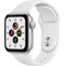 Apple Watch SE 40mm GPS (hopea/valkoinen urheiluranneke)