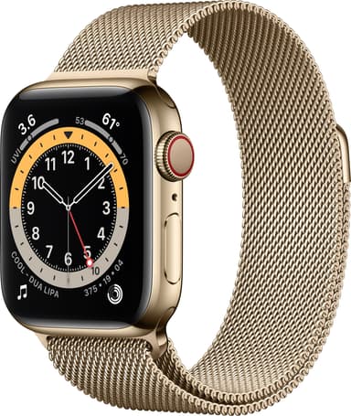 Apple Watch Series 6 40mm GPS+Cellular (kul. teräs/kul. milanolaisra.)