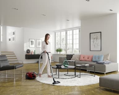 Electrolux PowerForce Animal pölynimuri EPF6ANIMAL (punainen)