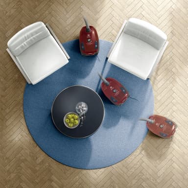 Electrolux PowerForce Animal pölynimuri EPF6ANIMAL (punainen)