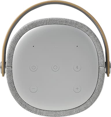 Harman Kardon Citation 200 kaiutin (harmaa)