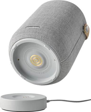 Harman Kardon Citation 200 kaiutin (harmaa)