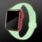 Glitter hehkuva Apple Watch ranneke 42/44 mm Red