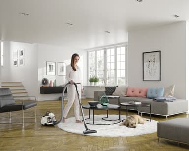 Electrolux SilentPerformer Cyclonic pölypussiton pölynimuri 900274279