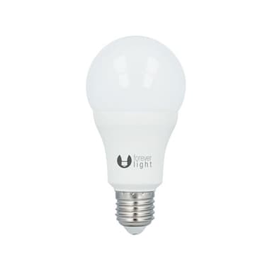 LED-Lamppu E27 A65 15W 230V 4500K 1460lm