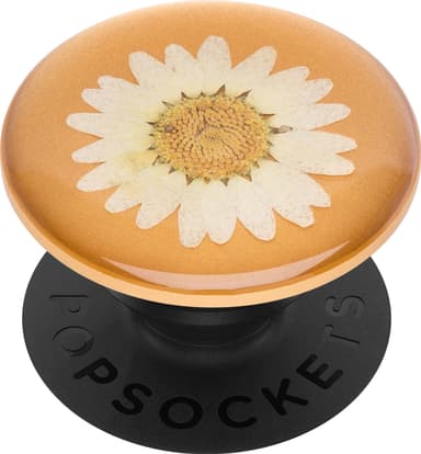 PopSockets Premium älypuhelimen pidike (Pressed Flower White Daisy)