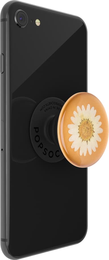 PopSockets Premium älypuhelimen pidike (Pressed Flower White Daisy)
