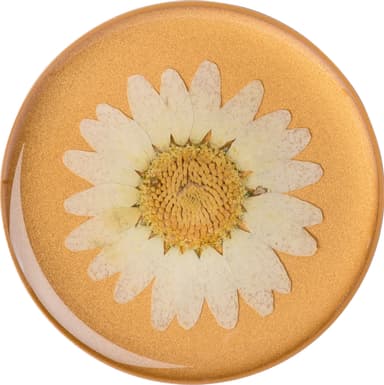 PopSockets Premium älypuhelimen pidike (Pressed Flower White Daisy)