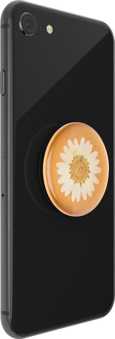 PopSockets Premium älypuhelimen pidike (Pressed Flower White Daisy)