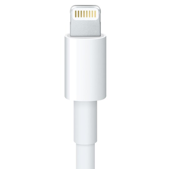 Apple Lightning - 30-pin adapteri (20 cm)