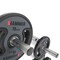 Hammer Sport Weight Disc Rack For Olympic Weights, Säilytys - Levypainot