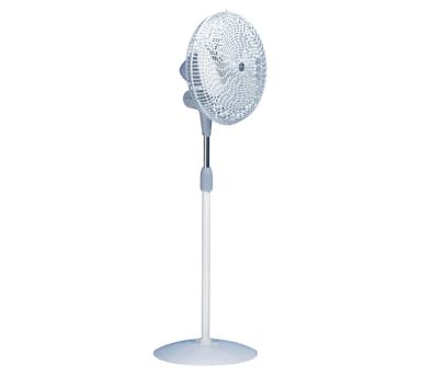 Lattiatuuletin Gordon 40