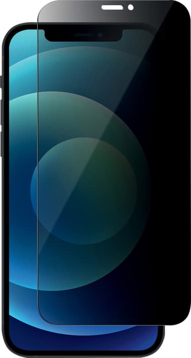 Panzer yksityisyyssuoja iPhone 12/12 Pro (musta)