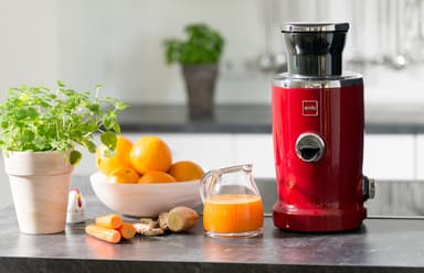 Novis S1 Essential Line Vita mehustin 498832 (punainen)