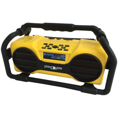 POP 100297 Radio