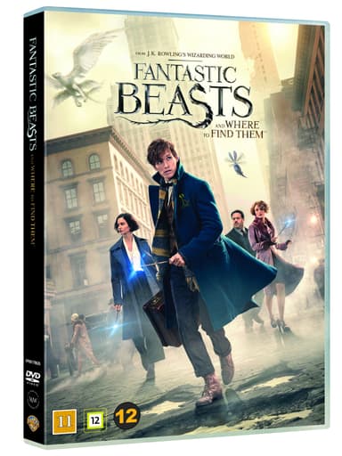 FANTASTIC BEASTS AND WHERE TO FIND THEM (DVD)