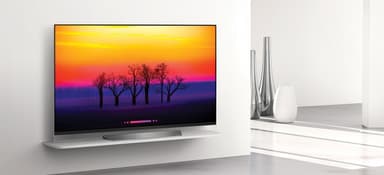 LG 55" 4K UHD OLED Smart TV E8 OLED55E8