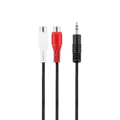 3,5 mm - 2 RCA Hane-Hona 0,2 m