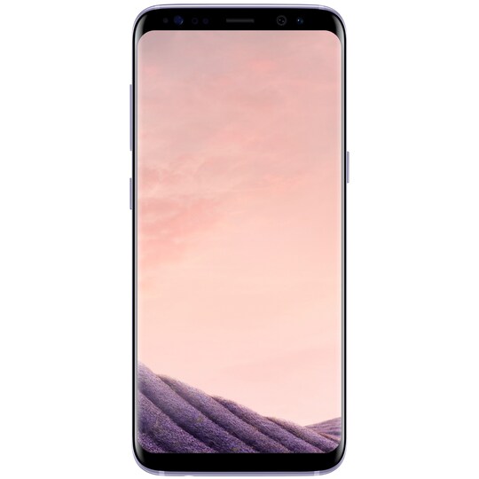 Samsung Galaxy S8 älypuhelin (harmaa)