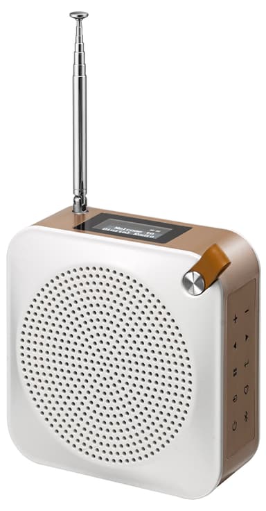Sandstrøm Constellation Aria FM/DAB+ radio (samppanja)