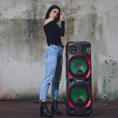 NGR Wild Ska 2 kaiutin