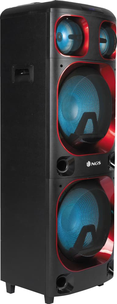 NGR Wild Ska 2 kaiutin