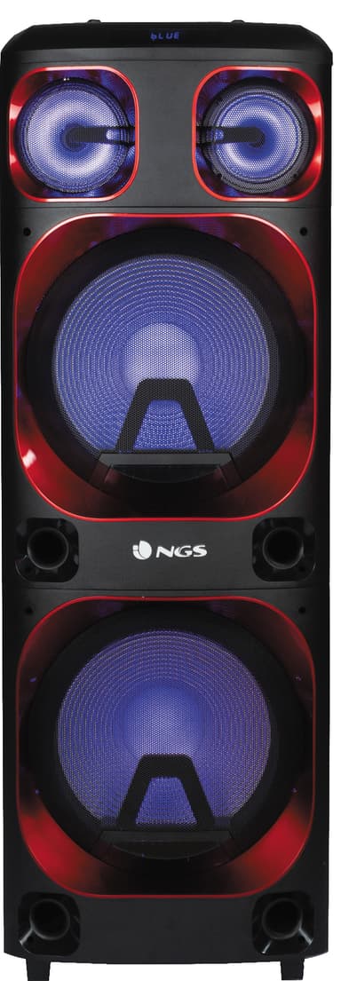 NGR Wild Ska 2 kaiutin