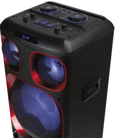 NGR Wild Ska 2 kaiutin