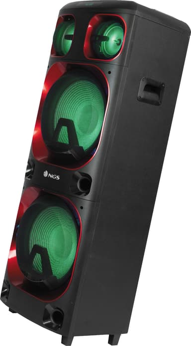 NGR Wild Ska 2 kaiutin
