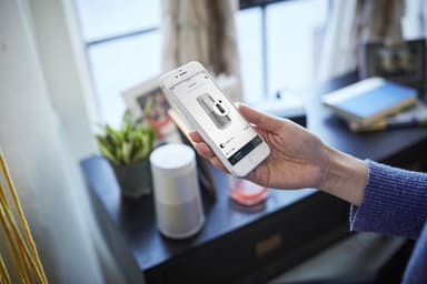 Bose SoundLink Revolve II langaton kaiutin (Luxe Silver)
