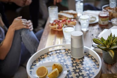 Bose SoundLink Revolve II langaton kaiutin (Luxe Silver)