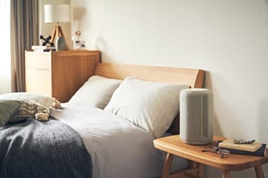 Sony SRS-RA3000 kaiutin (harmaa)