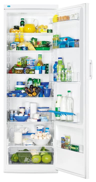 Zanussi Space+ jääkaappi ZRA40100WA (185 cm)