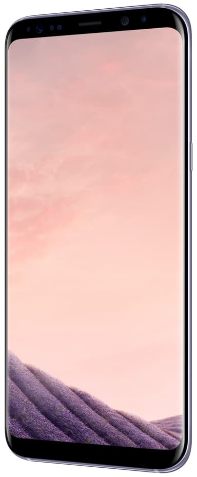 SAMSUNG SM-G955FZVATEN Smartph