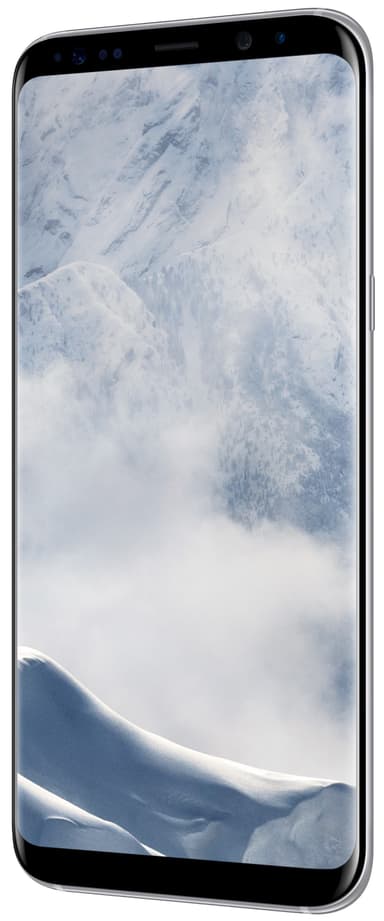 SAMSUNG SM-G955FZSATEN Smartph