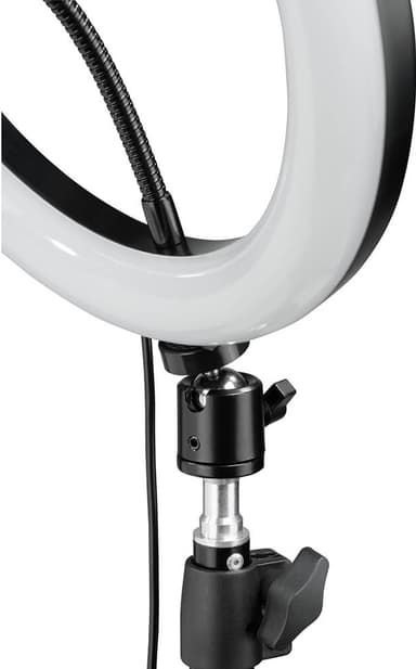 Hama Spotlight Steady 120" LED valorengas