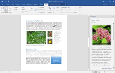 Microsoft 365 Personal lisenssi, 15 kk (Digitaalinen lataus)