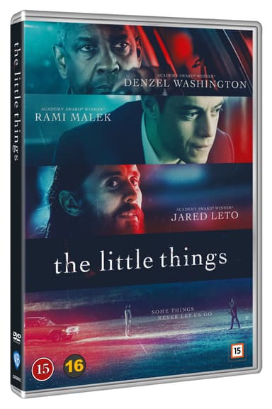 THE LITTLE THINGS (DVD)