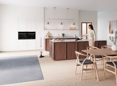 Electrolux Well WQ81-PALR Allergy varsi-imuri WQ81PALRG