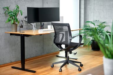 Zen Office 100 tuoli
