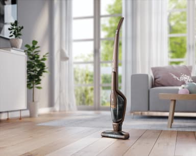 Electrolux Ergorapido varsi-imuri EER77MBM